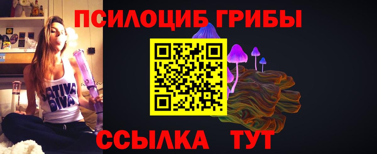 Псилоцибиновые грибы Magic Shrooms  Вход с VPN  Сызрань  магазин    Псилоцибиновые грибы Cubensis 